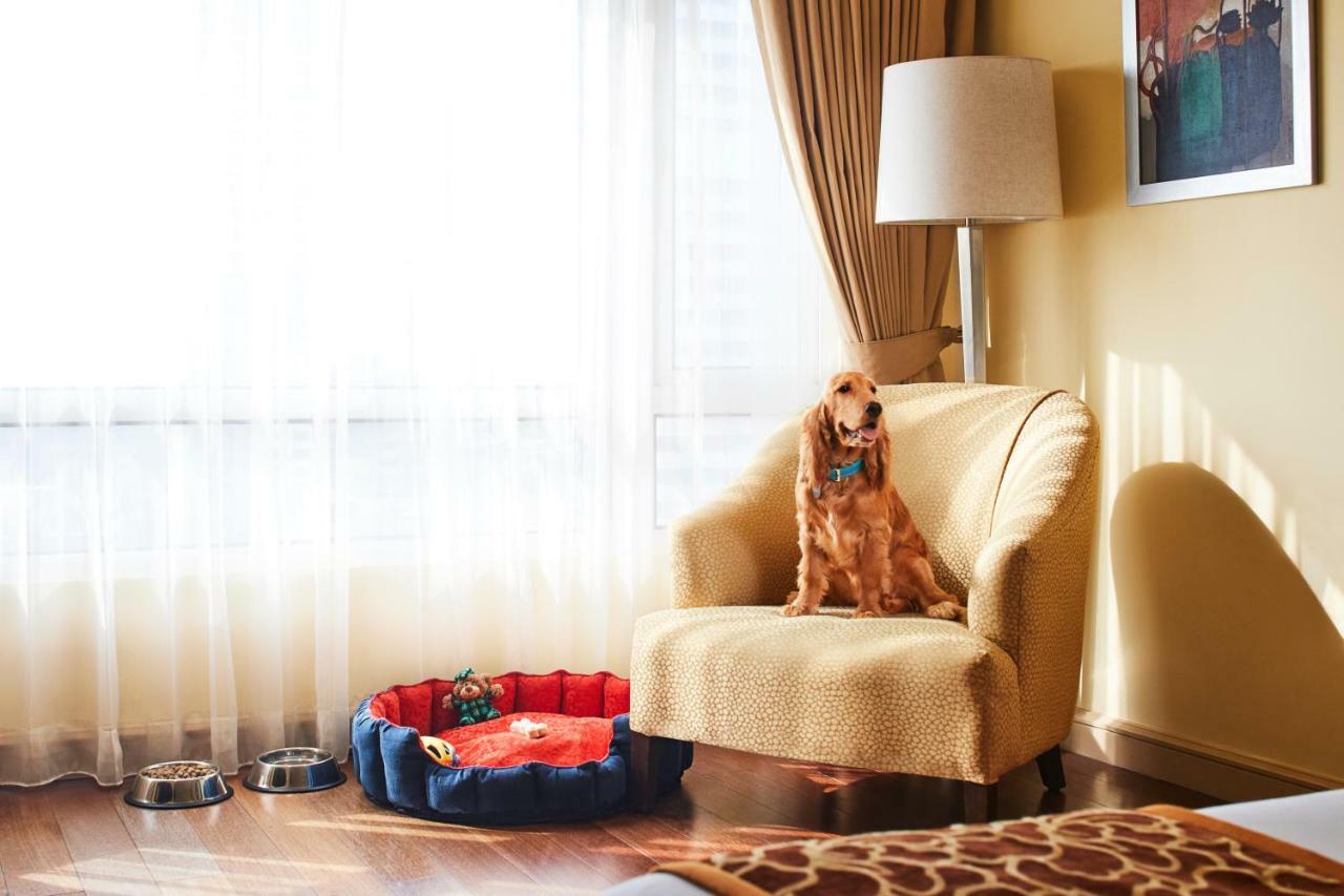 Hotel President - Ihcl Seleqtions Bombaj Exteriér fotografie A dog in a hotel room